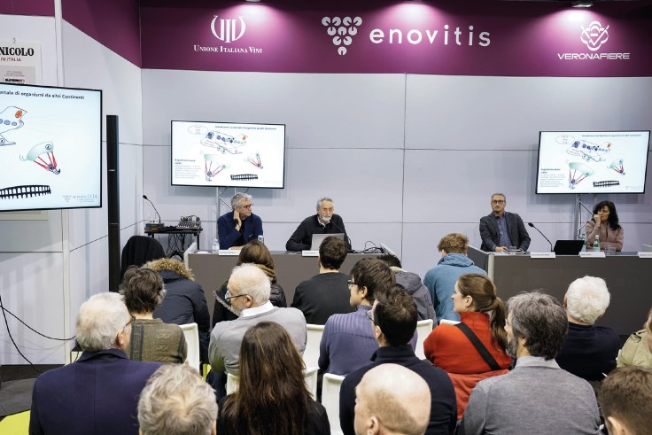 Enovitis 2018